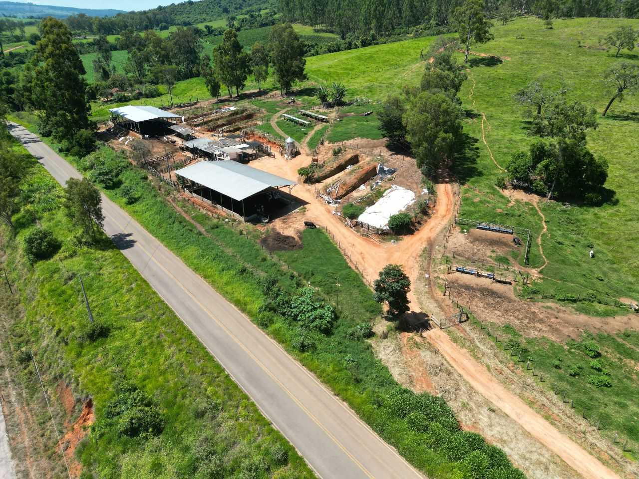 Fazenda, 79 hectares - Foto 4