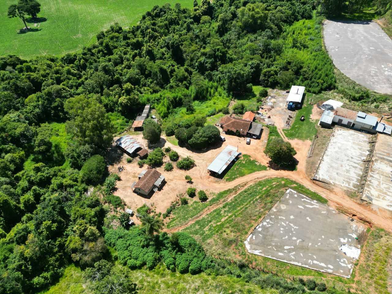 Fazenda, 79 hectares - Foto 1