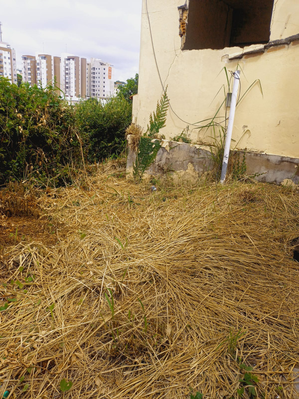 Terreno, 600 m² - Foto 12