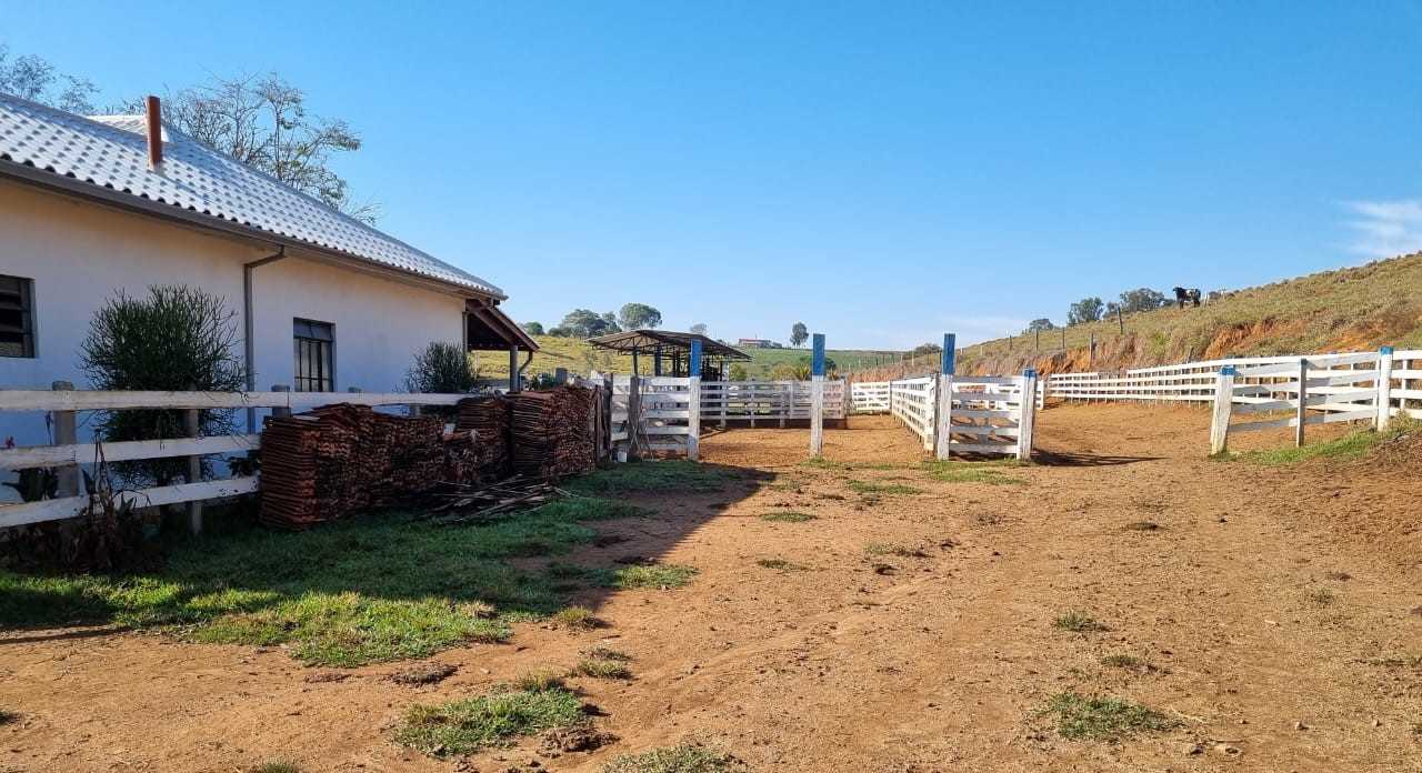 Fazenda, 209 hectares - Foto 9