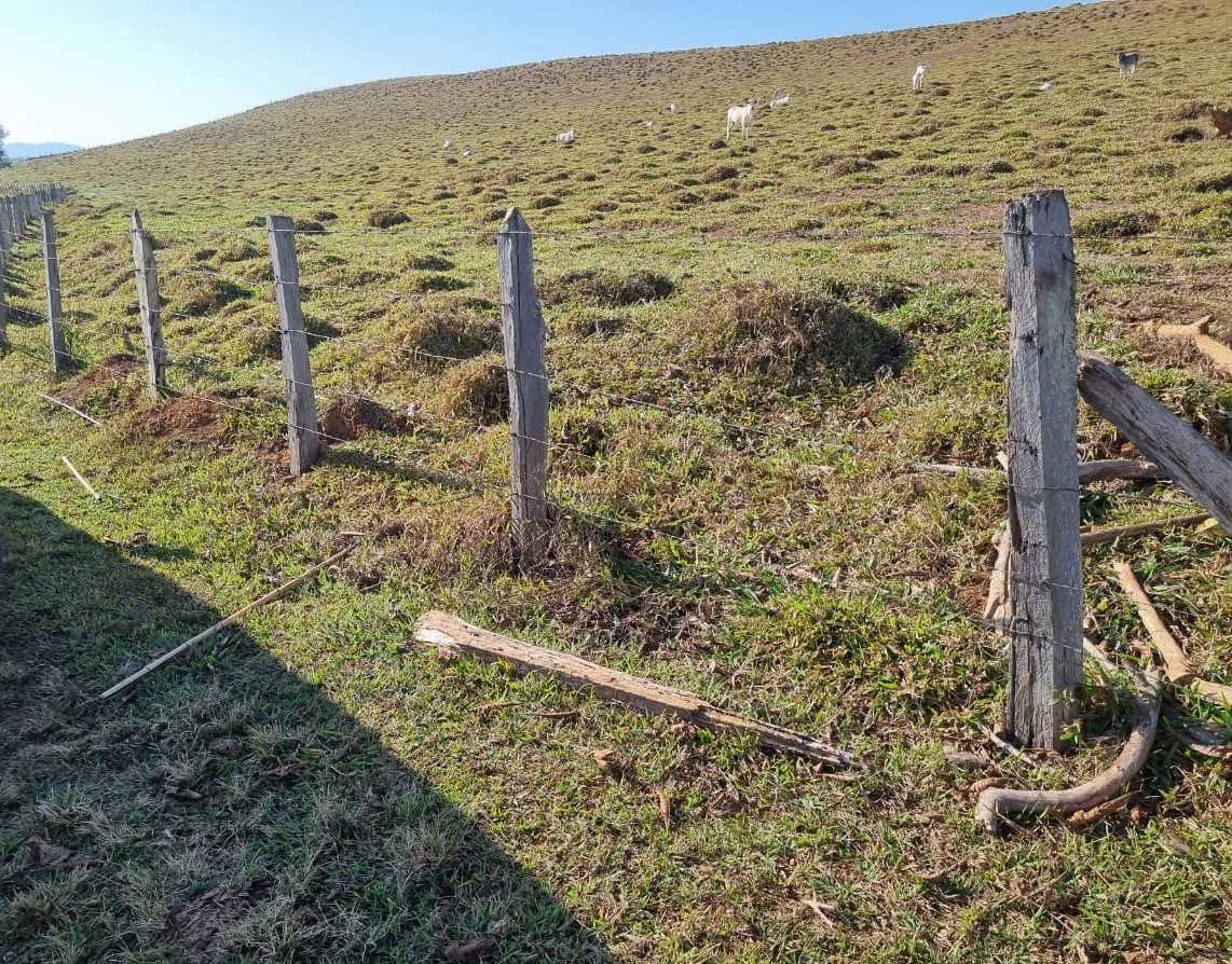 Fazenda, 209 hectares - Foto 14