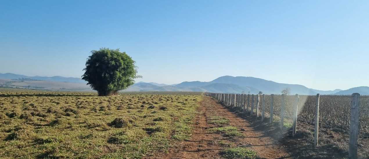 Fazenda, 209 hectares - Foto 4