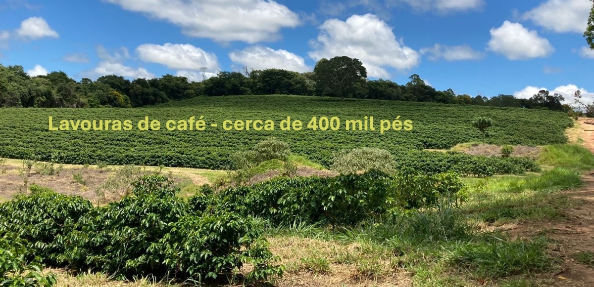 Fazenda, 346 hectares - Foto 4