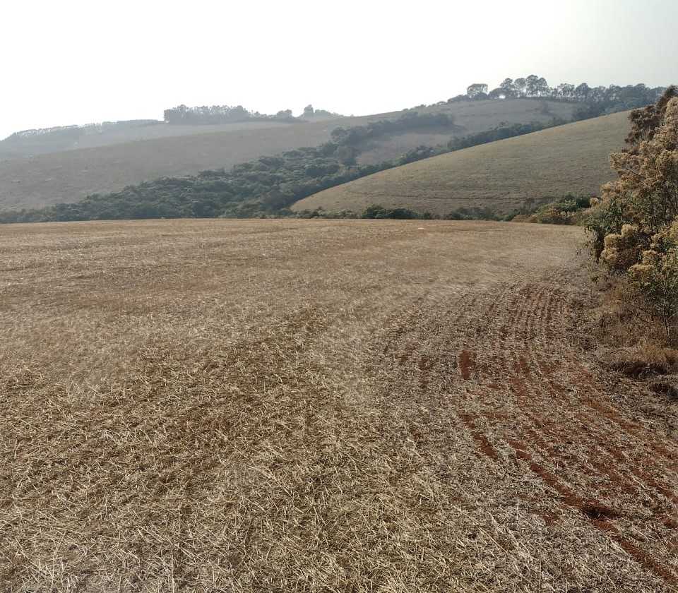 Fazenda, 200 hectares - Foto 17