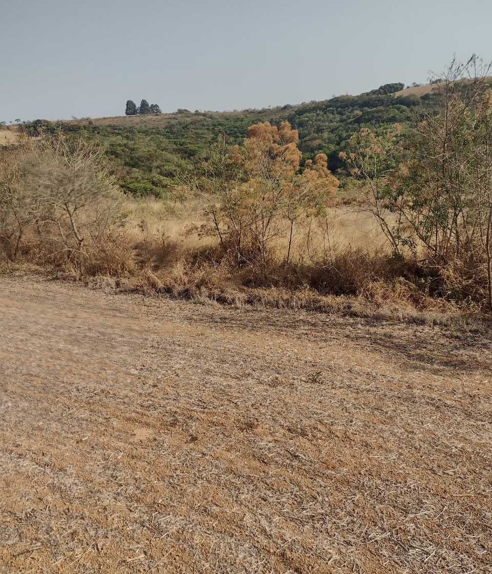 Fazenda, 200 hectares - Foto 13