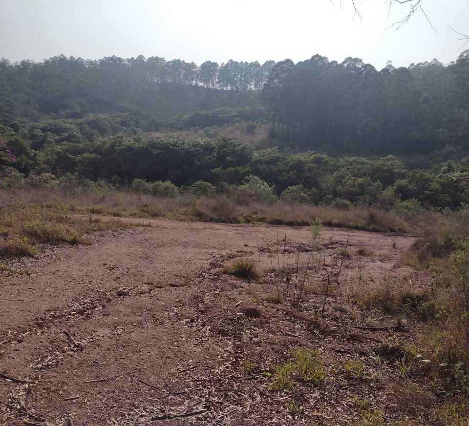 Fazenda, 200 hectares - Foto 19