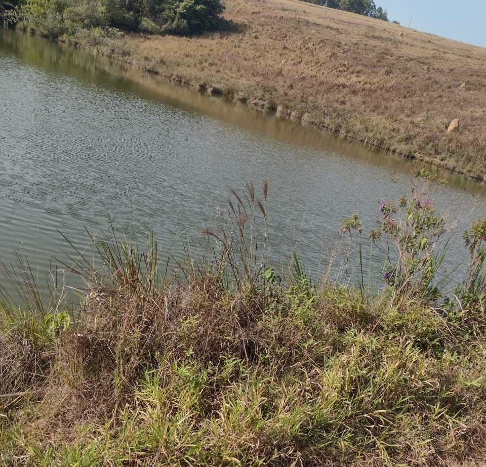 Fazenda, 200 hectares - Foto 2