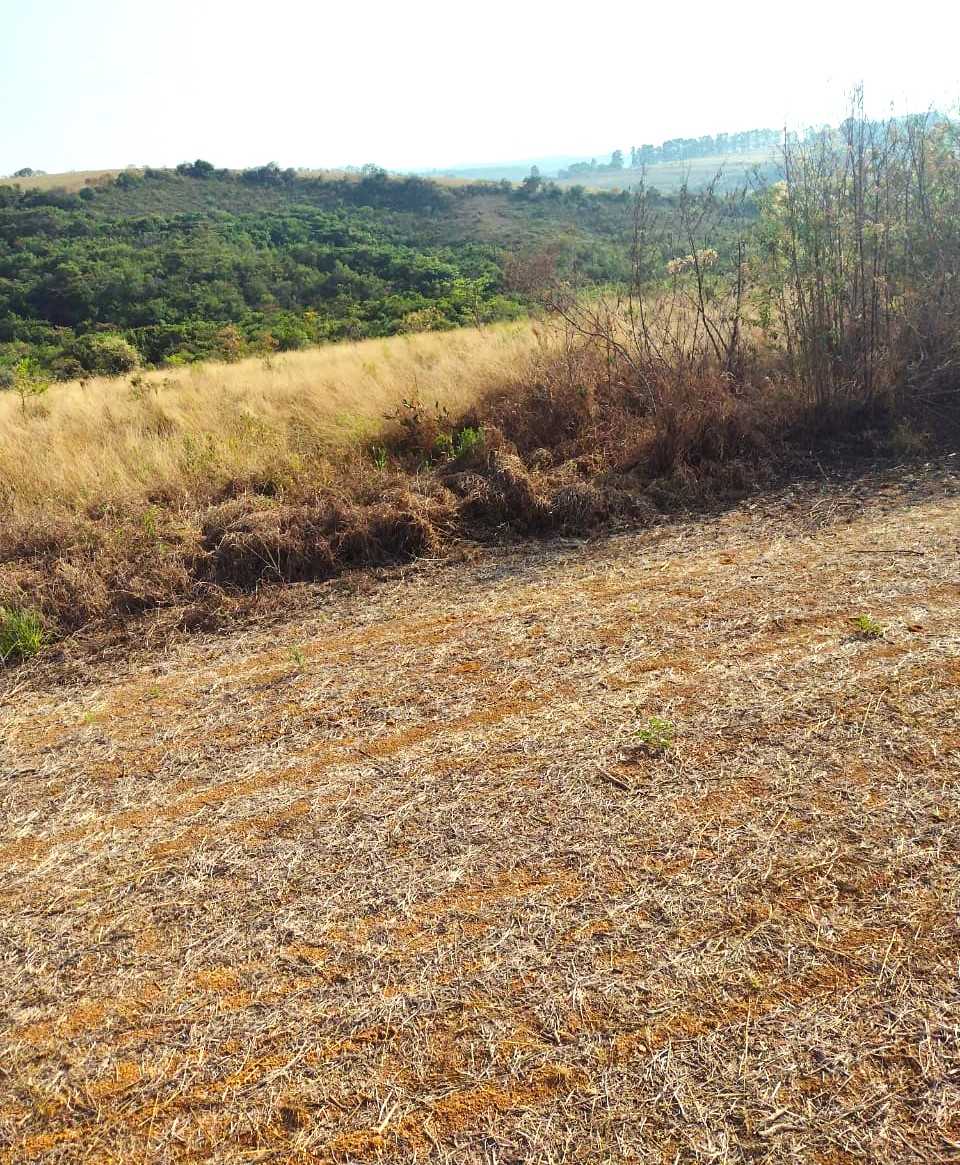 Fazenda, 200 hectares - Foto 11