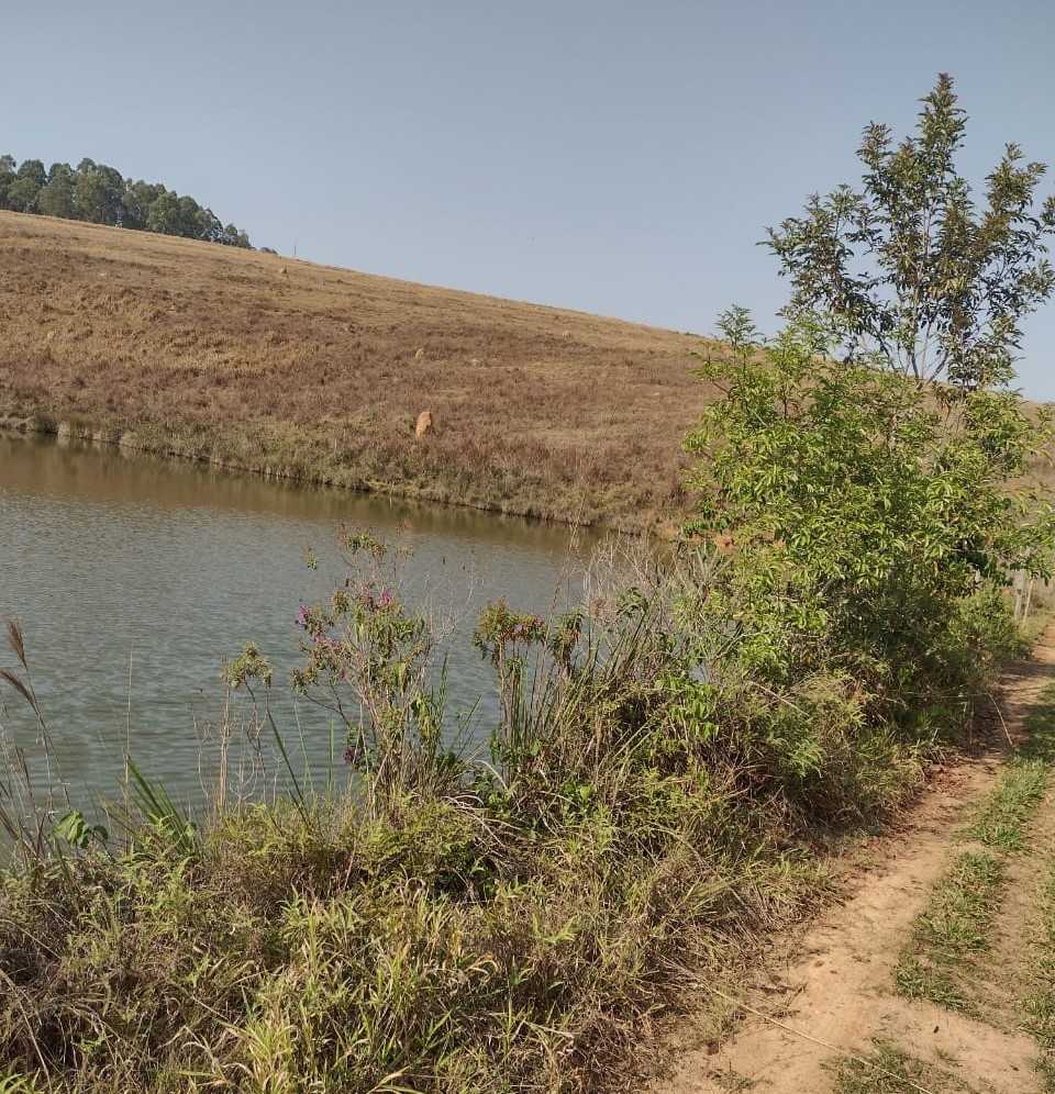 Fazenda, 200 hectares - Foto 1