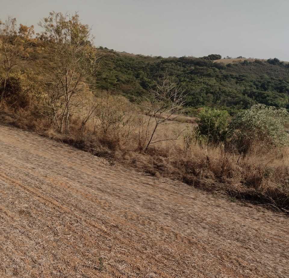 Fazenda, 200 hectares - Foto 14