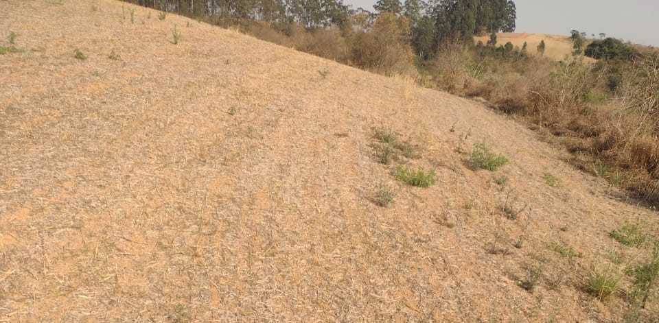 Fazenda, 200 hectares - Foto 16