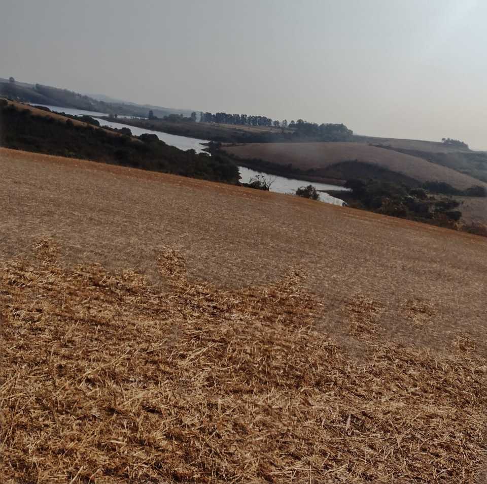 Fazenda, 200 hectares - Foto 6