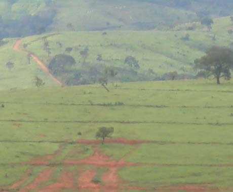 Fazenda, 1500 hectares - Foto 2