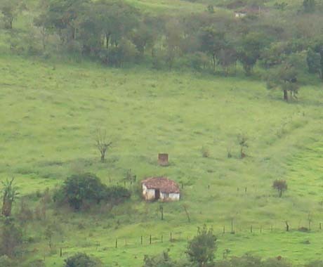 Fazenda, 1500 hectares - Foto 1