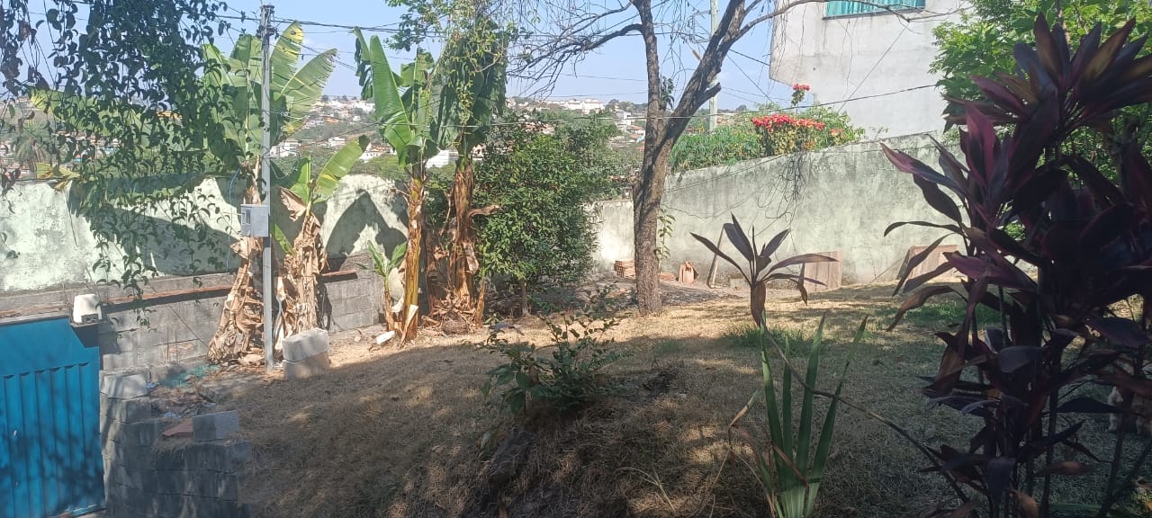 Casa, 4 quartos, 360 m² - Foto 3