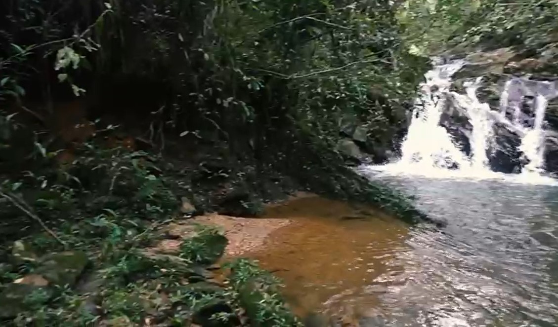 Fazenda, 194 hectares - Foto 10