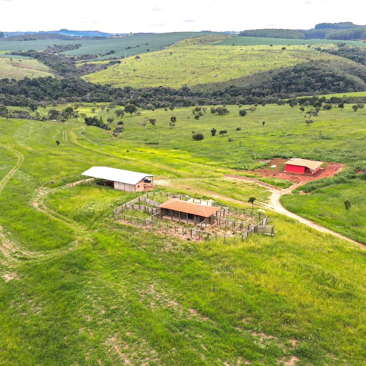 Fazenda, 194 hectares - Foto 12