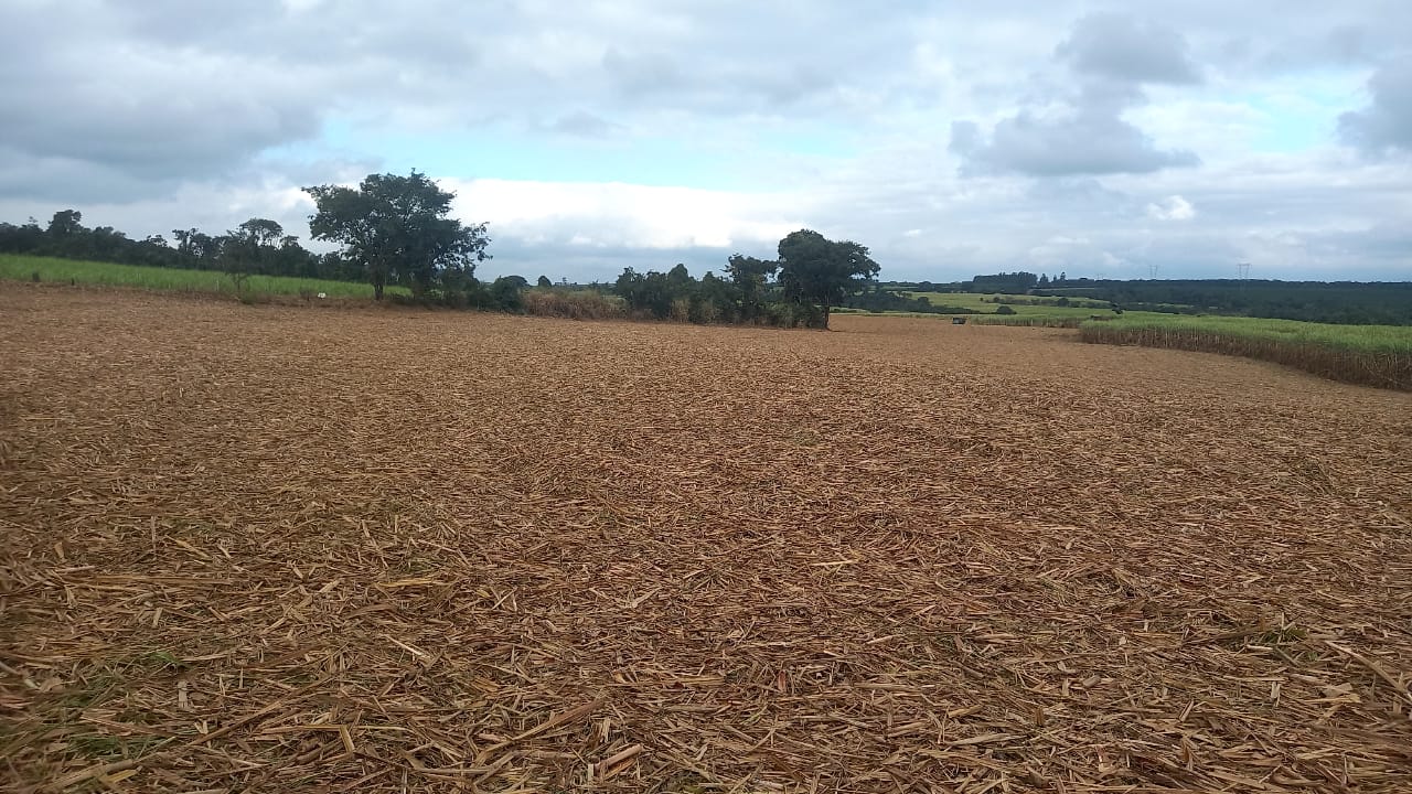 Fazenda, 90 hectares - Foto 12