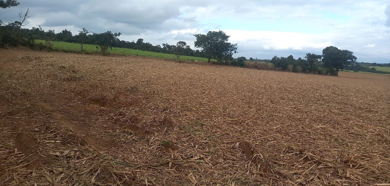 Fazenda, 90 hectares - Foto 13