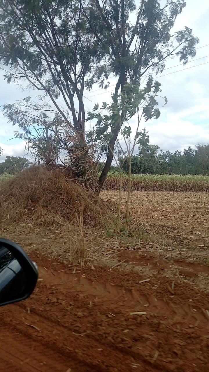 Fazenda, 90 hectares - Foto 15