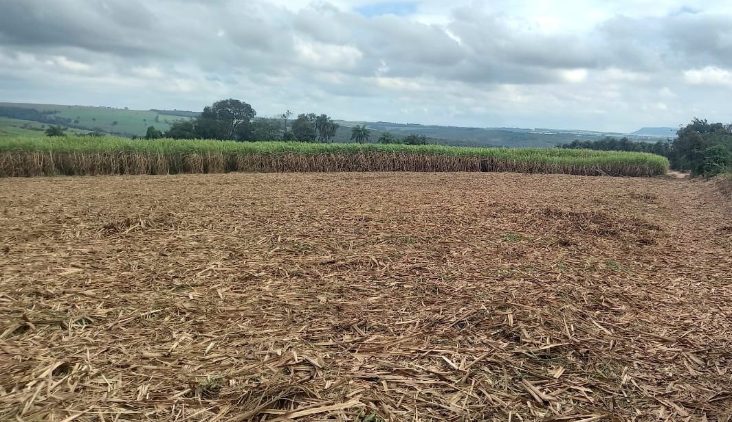 Fazenda, 90 hectares - Foto 4