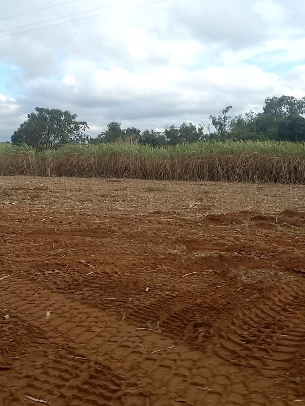 Fazenda, 90 hectares - Foto 14