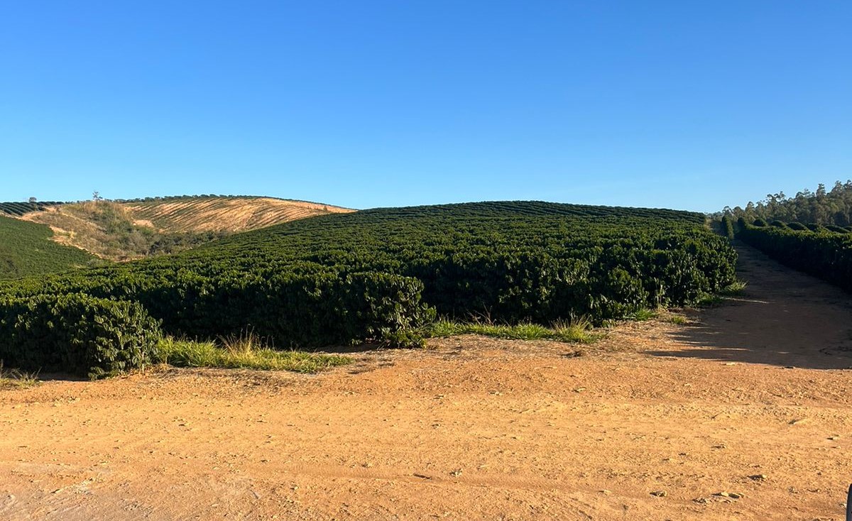 Sítio, 2 quartos, 303 m² - Foto 1