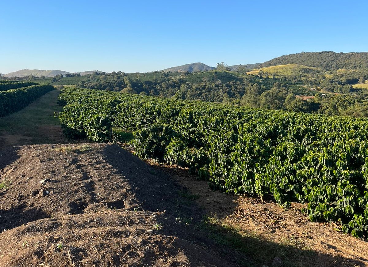 Sítio, 2 quartos, 303 m² - Foto 3