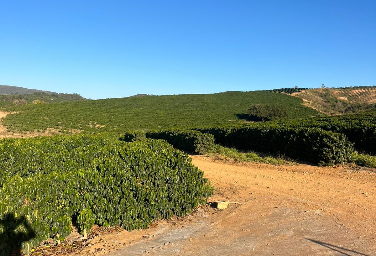 Sítio, 2 quartos, 303 m² - Foto 2