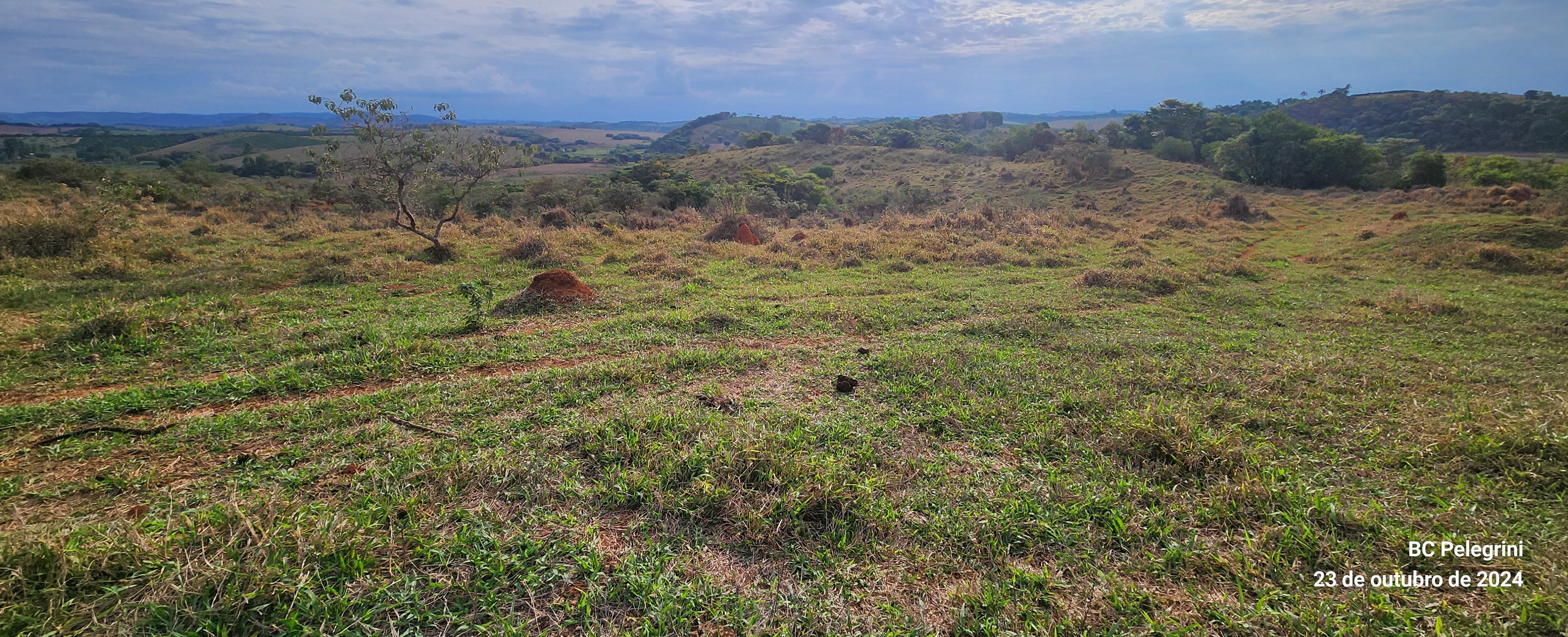 Fazenda, 60 hectares - Foto 22