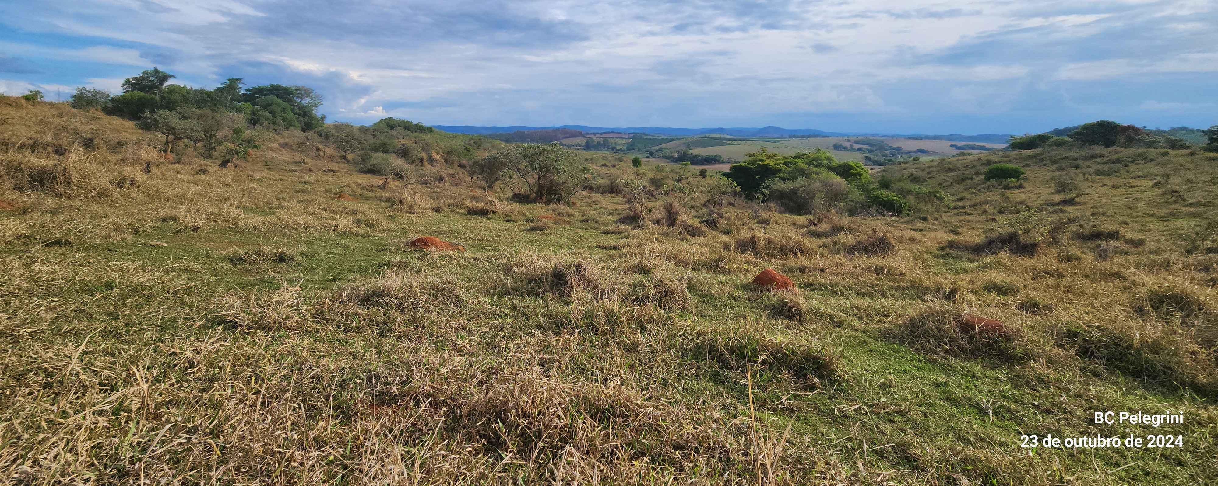 Fazenda, 60 hectares - Foto 24