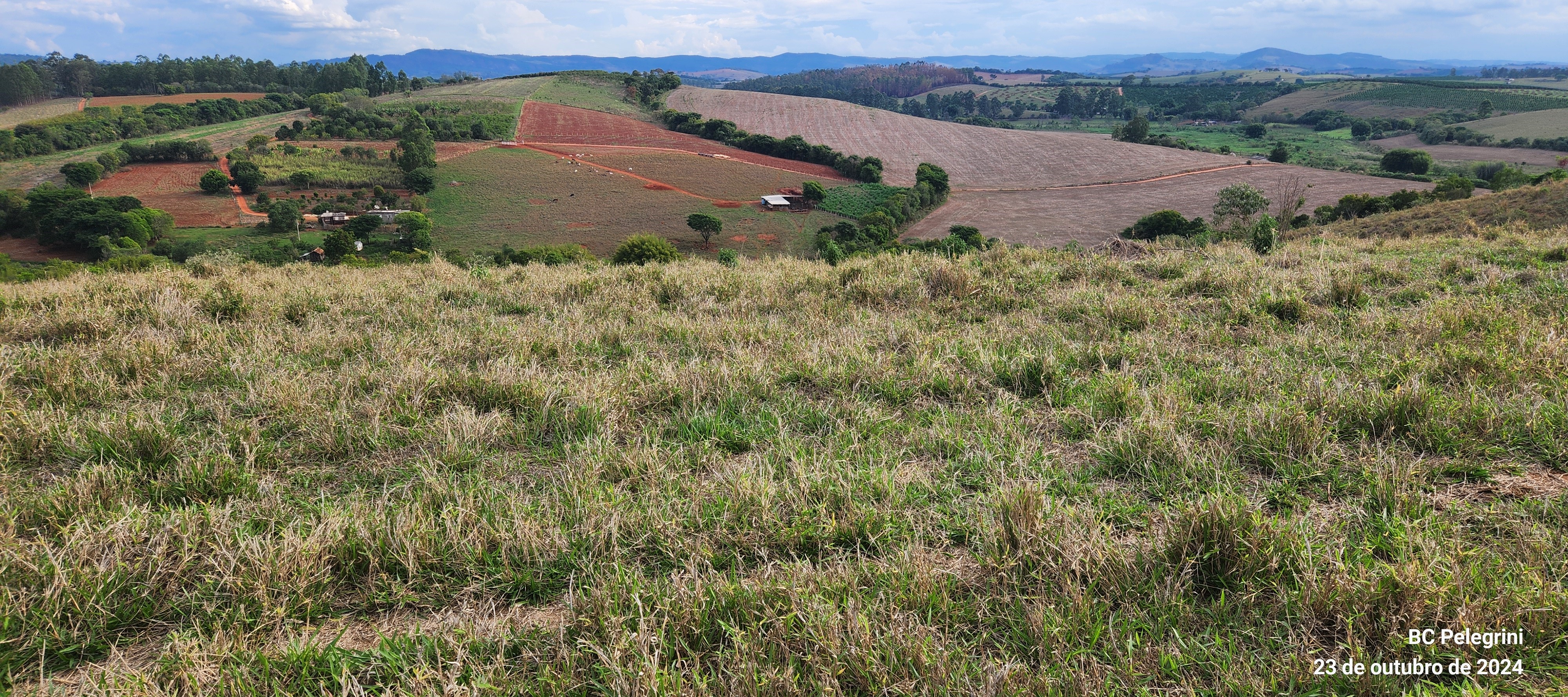 Fazenda, 60 hectares - Foto 15