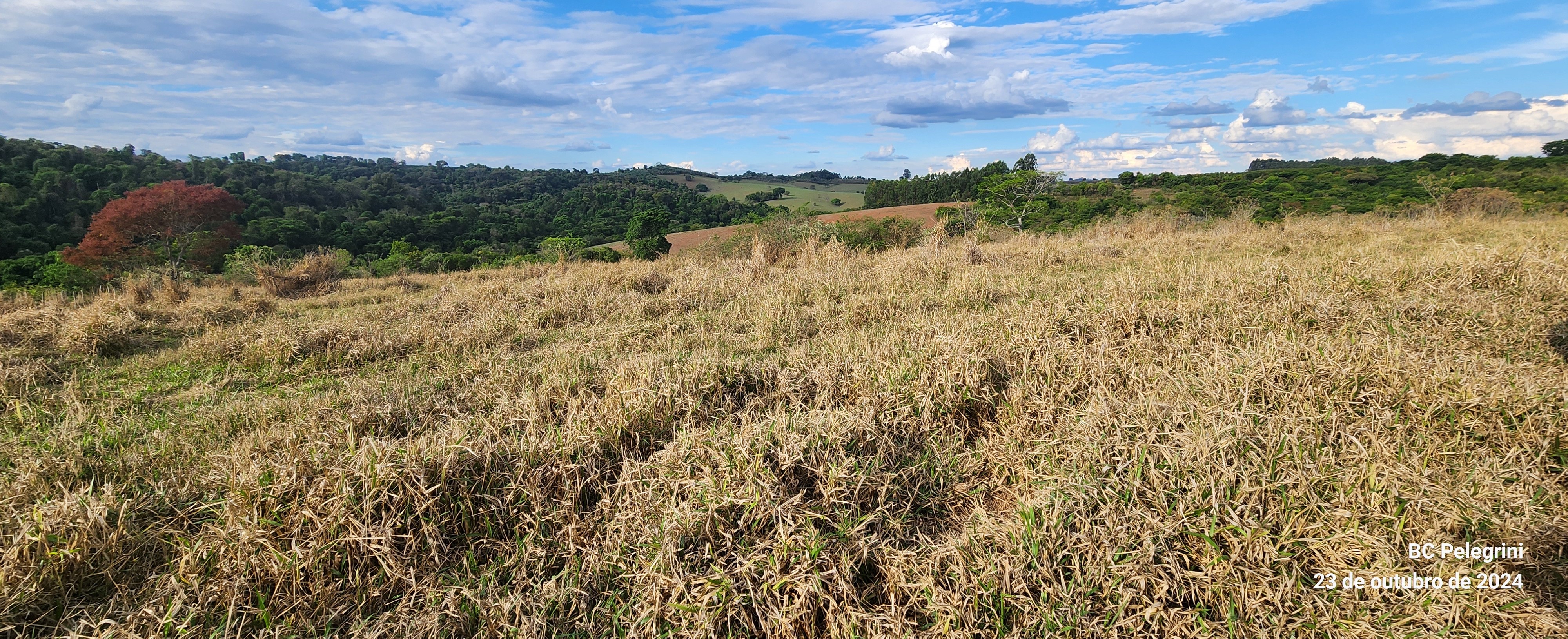 Fazenda, 60 hectares - Foto 21