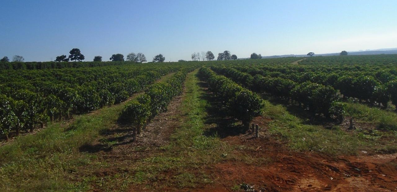 Fazenda, 13 m² - Foto 7