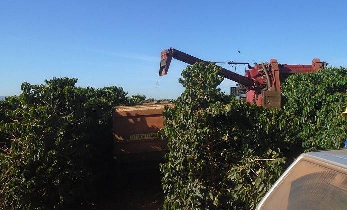 Fazenda, 13 m² - Foto 12