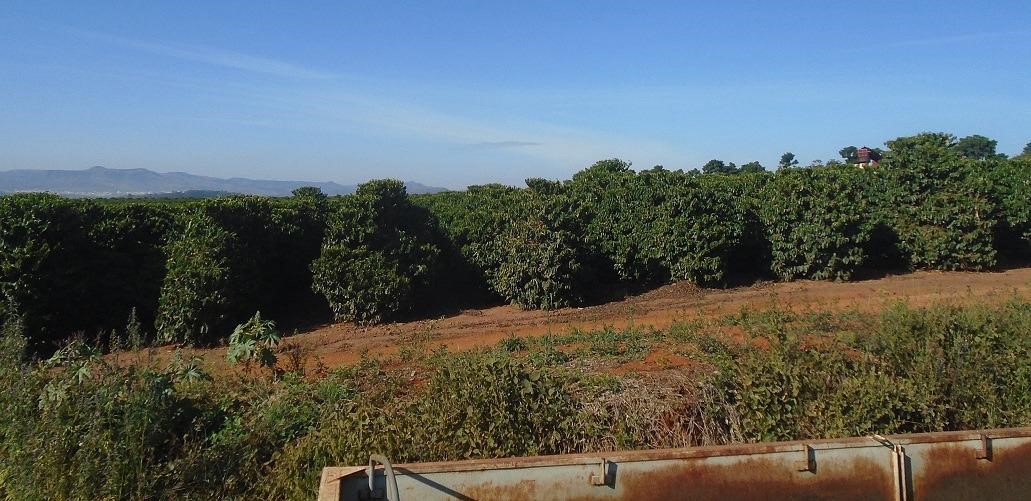 Fazenda, 13 m² - Foto 8