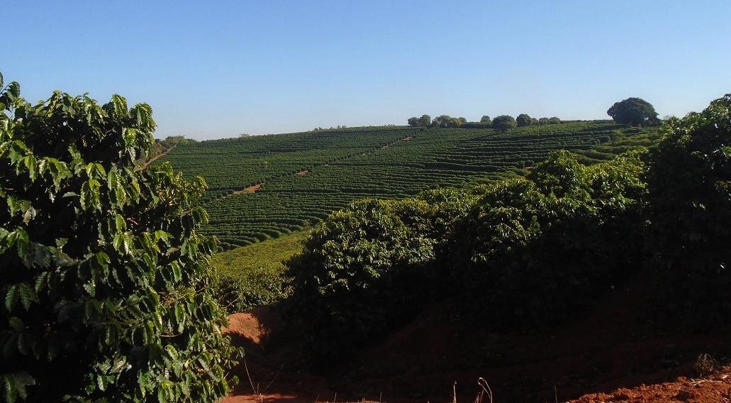 Fazenda, 13 m² - Foto 11