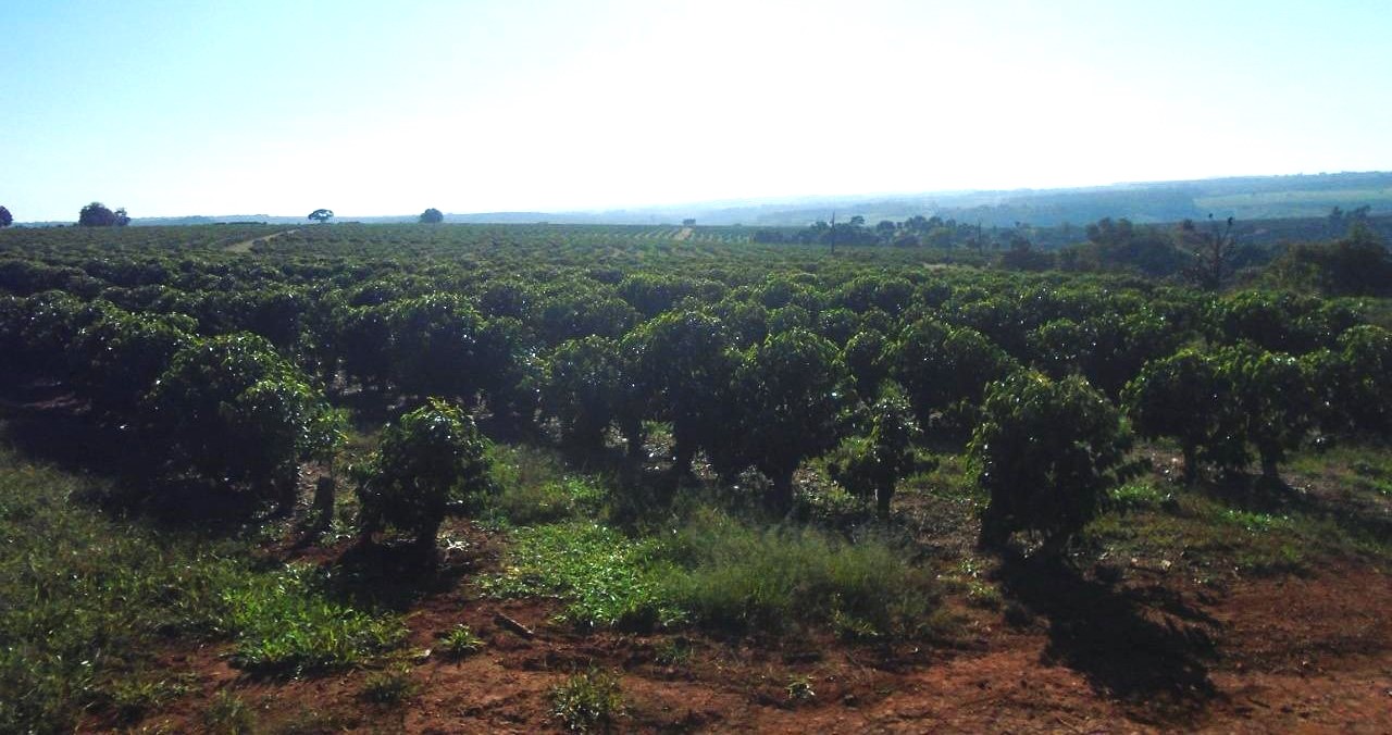 Fazenda, 13 m² - Foto 9