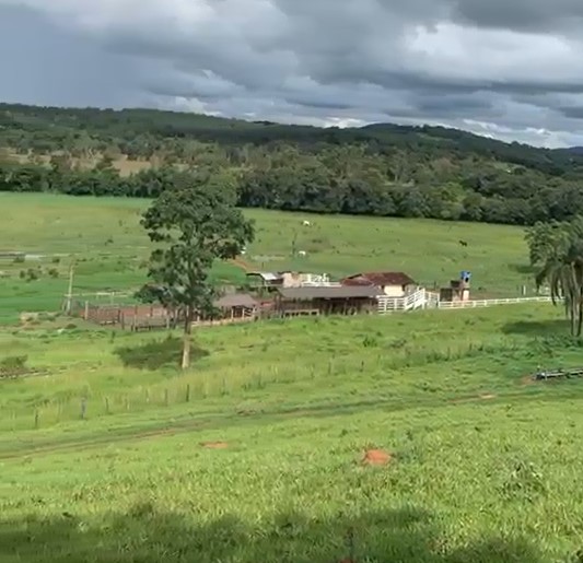 Fazenda, 247 hectares - Foto 11
