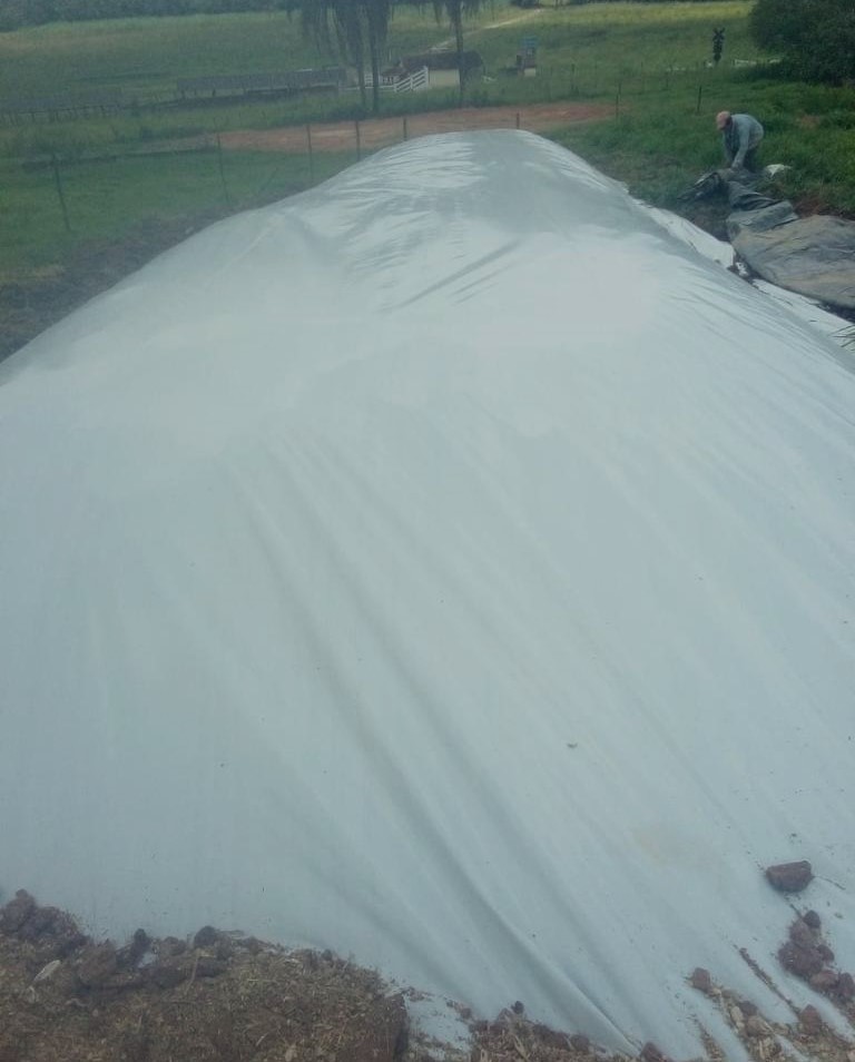 Fazenda, 247 hectares - Foto 12