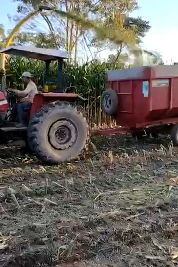 Fazenda, 247 hectares - Foto 16