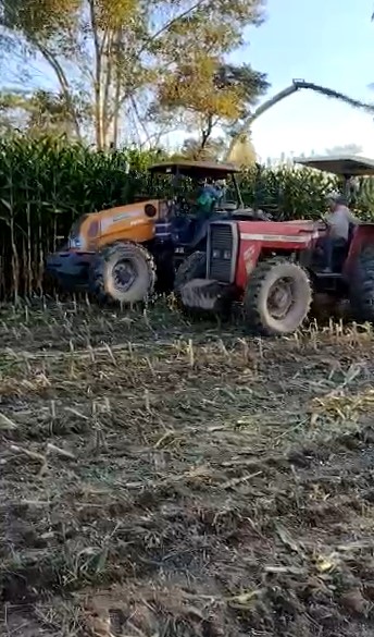 Fazenda, 247 hectares - Foto 15