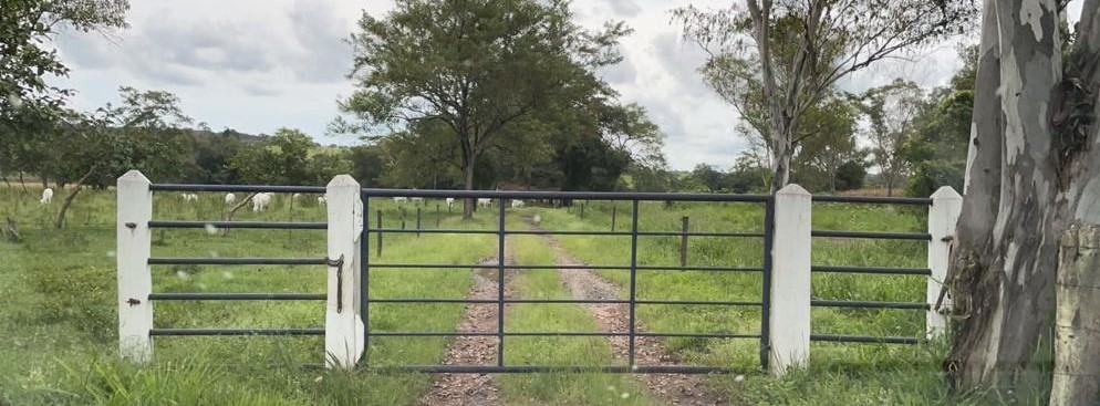 Fazenda, 247 hectares - Foto 4