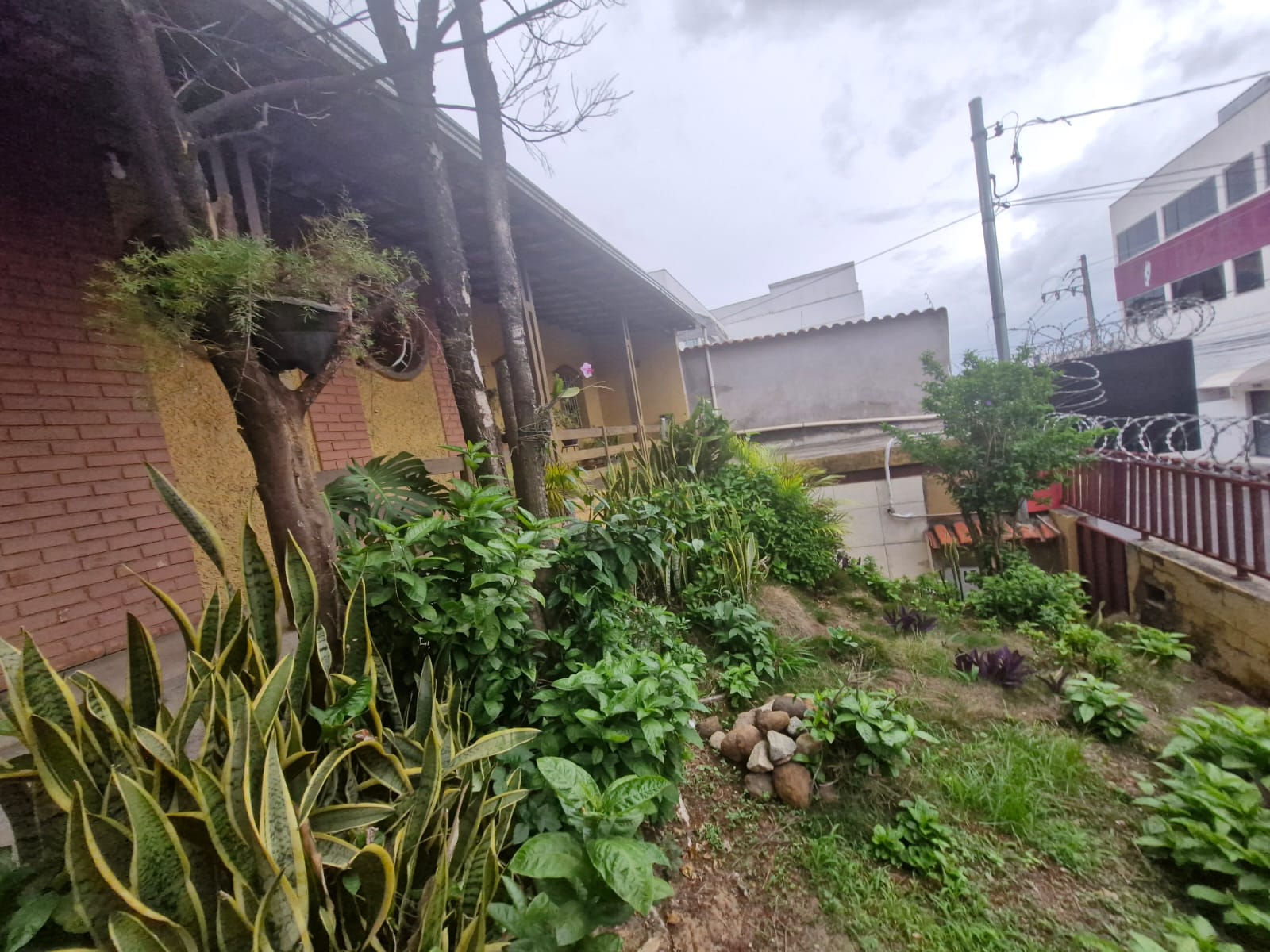 Loja-Salão, 360 m² - Foto 2