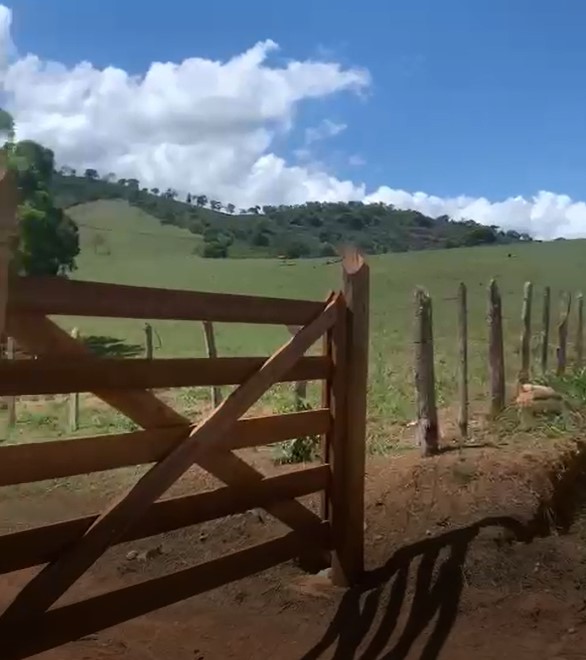 Fazenda, 320 hectares - Foto 12