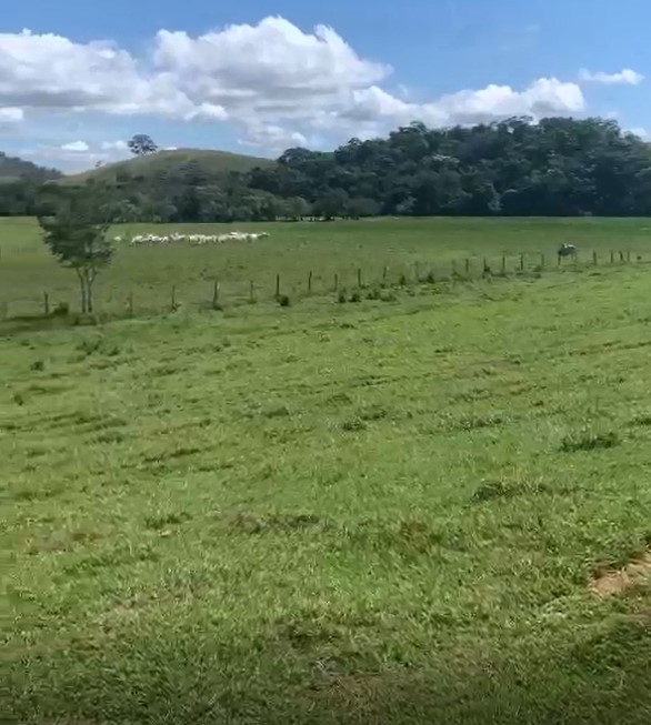 Fazenda, 320 hectares - Foto 2