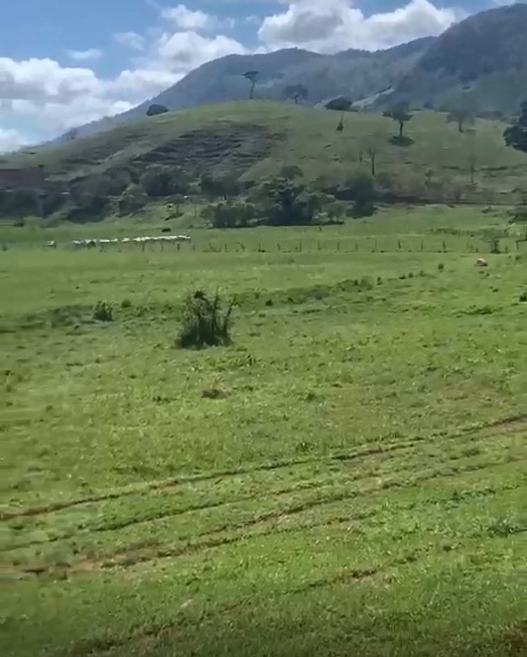 Fazenda, 320 hectares - Foto 24