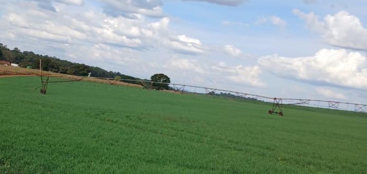 Fazenda, 3 quartos - Foto 4