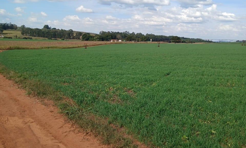 Fazenda, 3 quartos - Foto 2