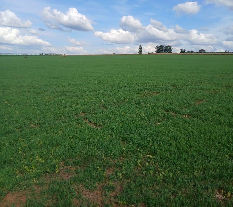 Fazenda, 3 quartos - Foto 9